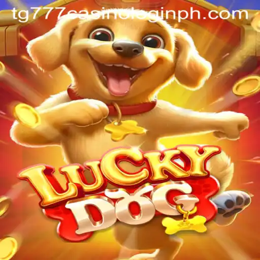 Discover the Thrilling World of LuckyDog and TG777 Casino Login